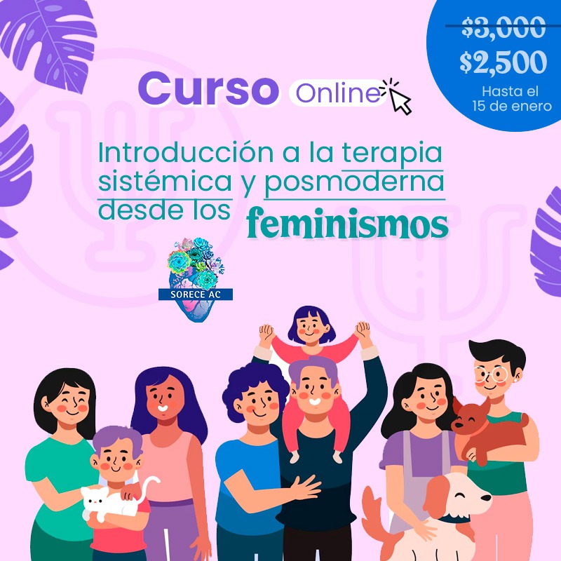 Introducción a la Terapia Sistémica y Posmoderna Desde los Feminismos.