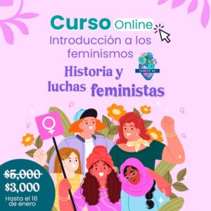 Introducción a los feminismos. Historia y luchas feministas.