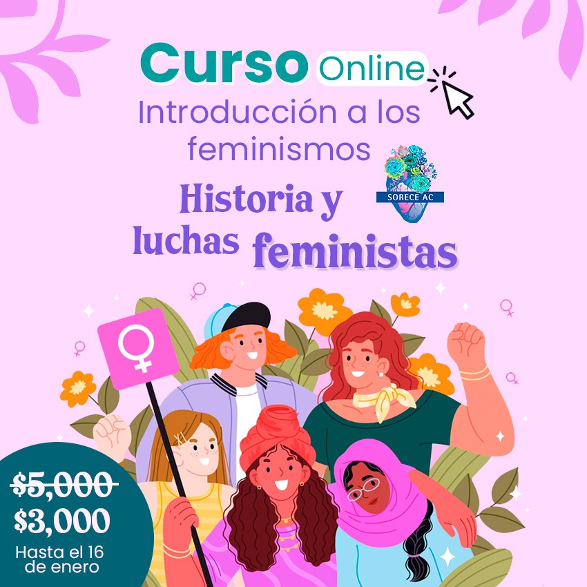Introducción a los feminismos. Historia y luchas feministas.