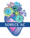 LogoSoreceC