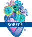 Sorece logo Registrada (1)